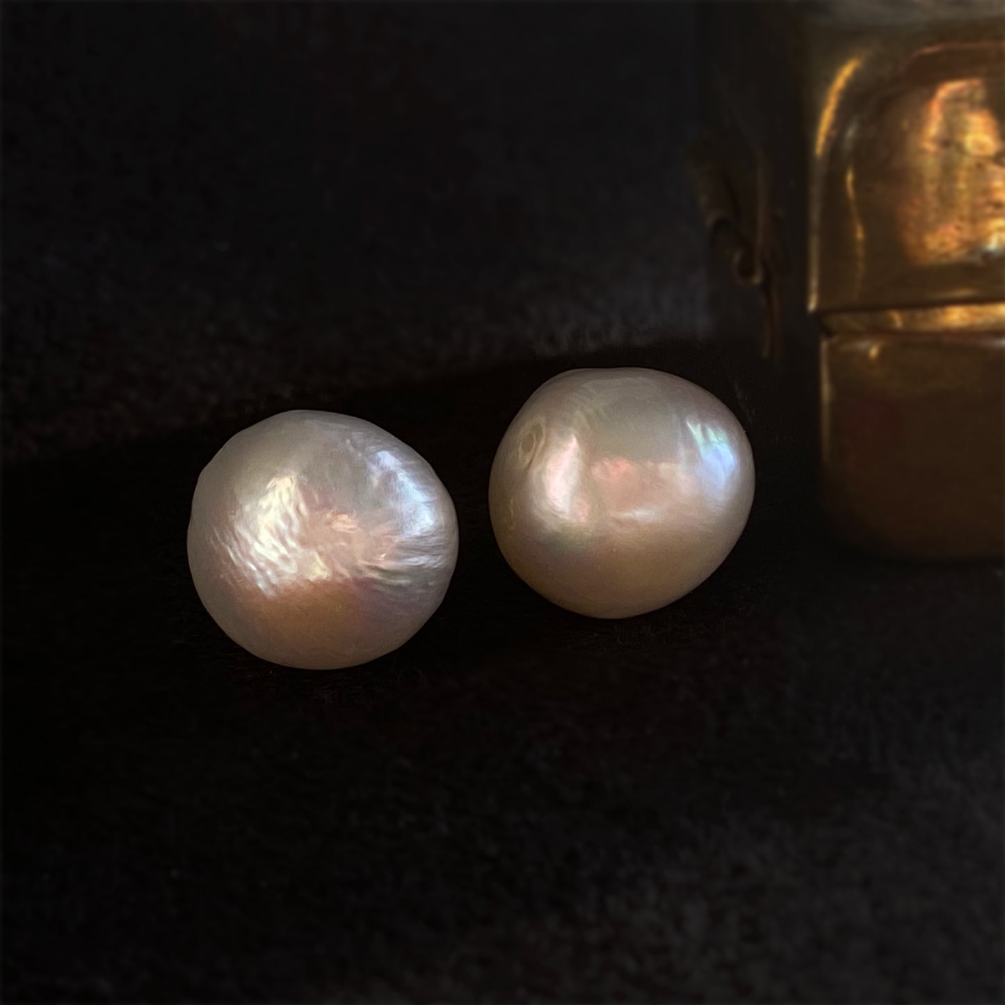 fresh water pearl studs large jumbo emily gill