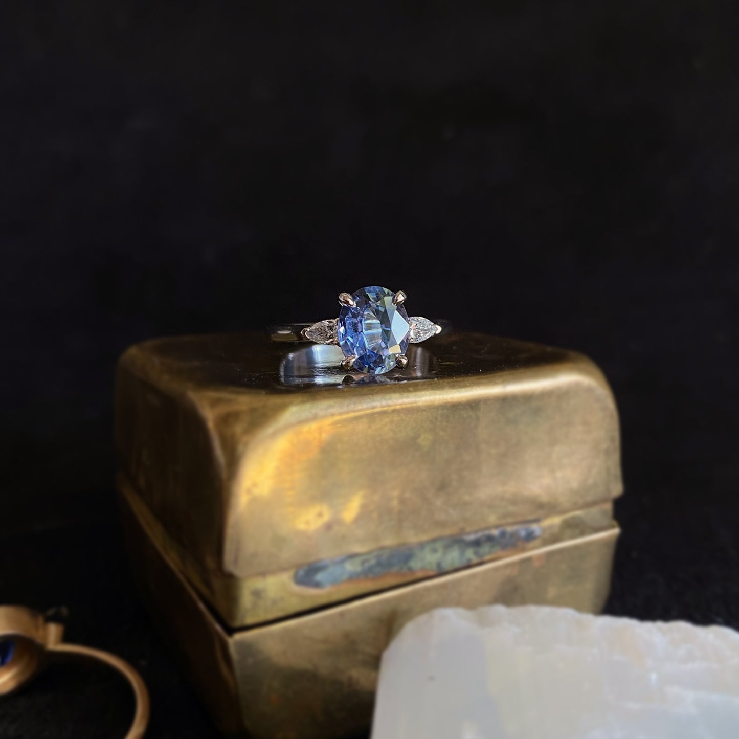 Forget Me Not