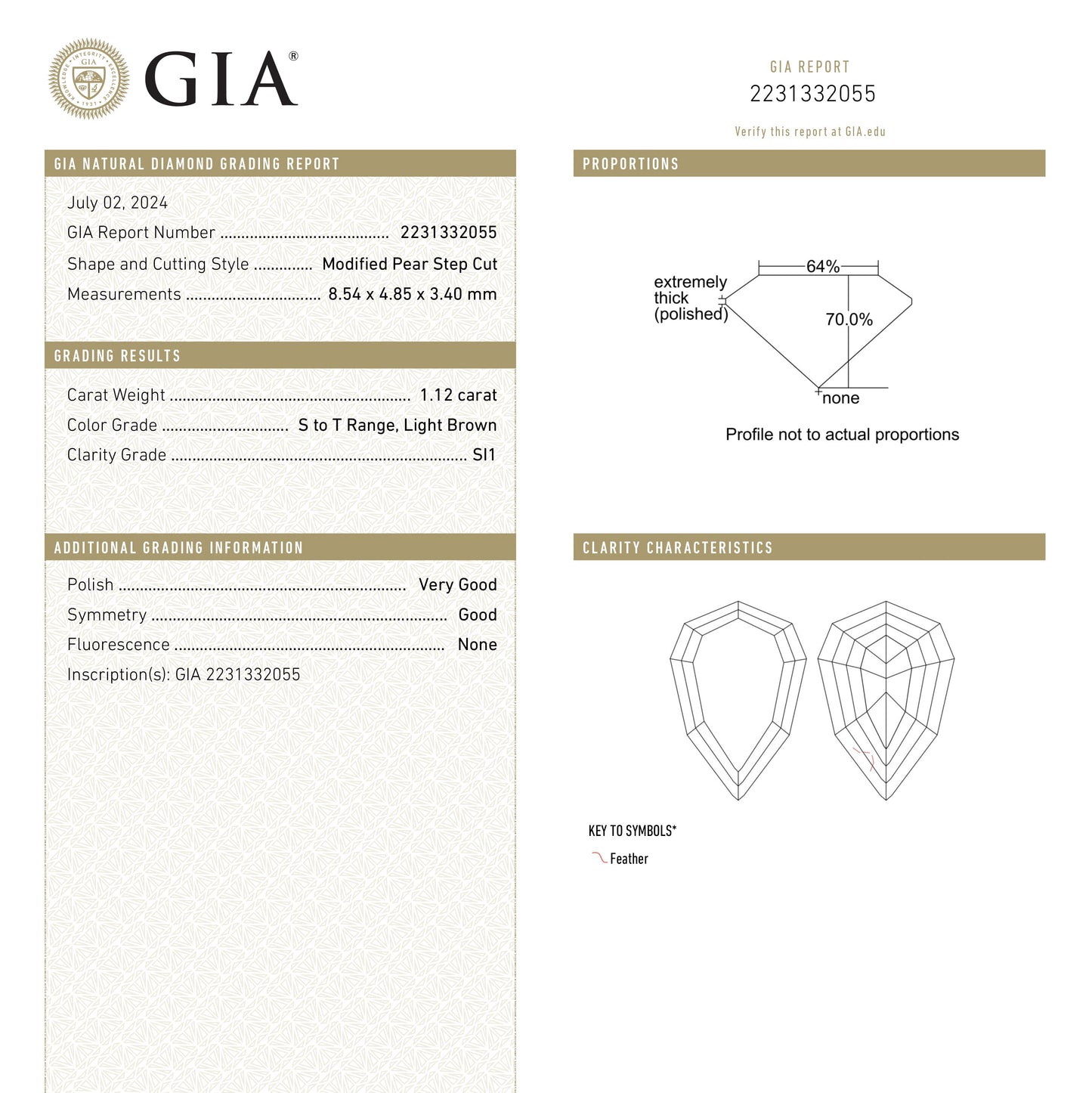 1.12ct 8.54x4.85x3.40mm GIA SI1 S-T Geo Pear Step Cut 🇿🇦 26113-01